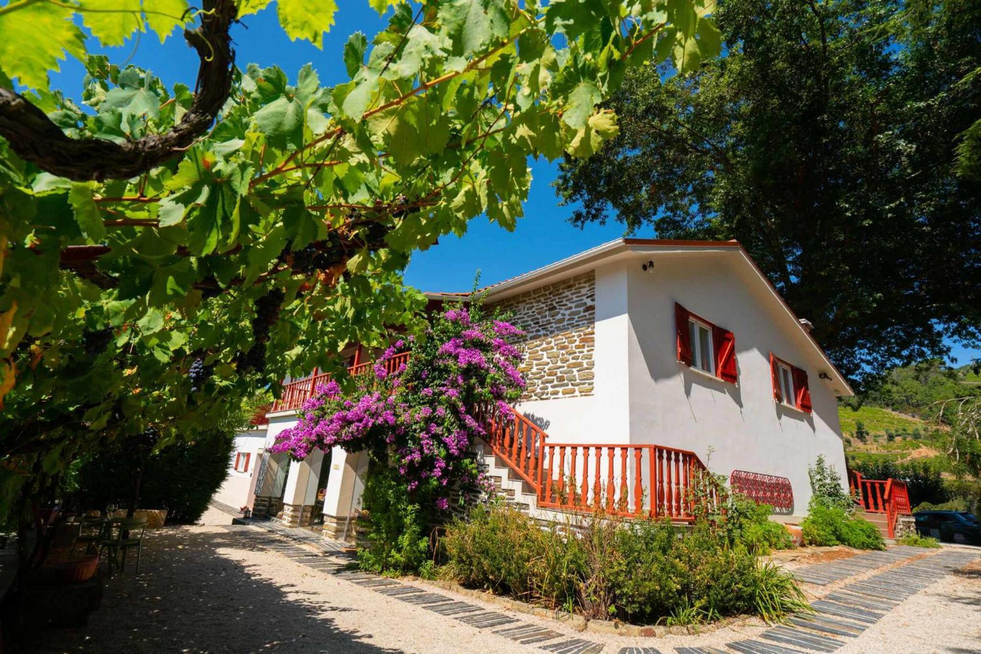 Quinta Da Pousada Casa De Campo Santa Marta de Penaguião Eksteriør bilde